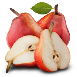 Similar image 2577002