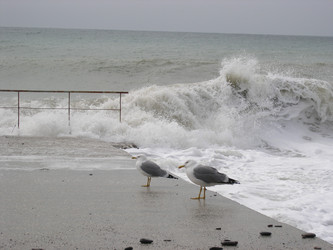 Similar image 2577143