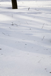 Similar image 2577615