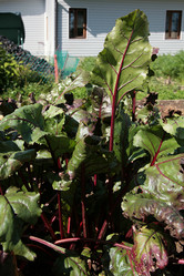 Similar image 2577626