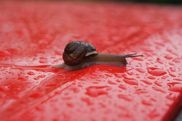 Similar image 2577627