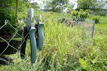 Similar image 2577628