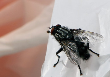 Similar image 2577708