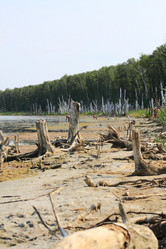 Similar image 2577710