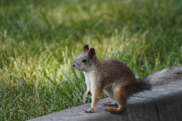 Similar image 2577717