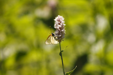 Similar image 2577721