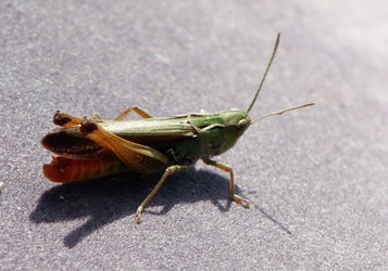 Similar image 2577722