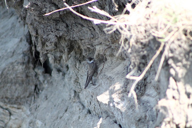 Similar image 2577851