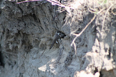 Similar image 2577852