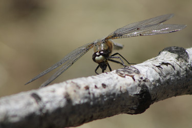 Similar image 2577853