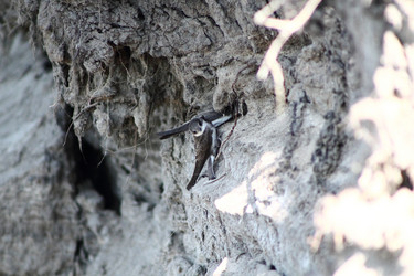 Similar image 2577854