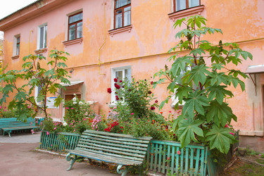 Similar image 2578021