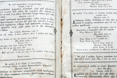 Similar image 2578442