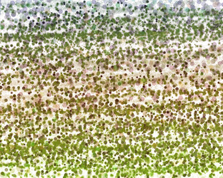 Similar image 2578564