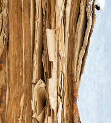 Similar image 2578586