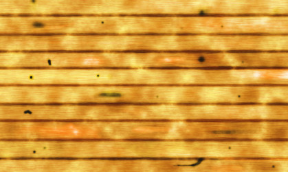 Similar image 2578599