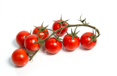 Similar image 2578637