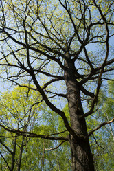 Similar image 2578738