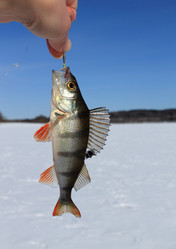 Similar image 2578746