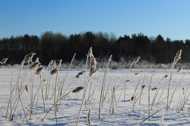 Similar image 2578805