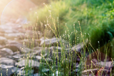 Similar image 2579483