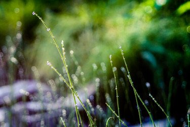 Similar image 2579484