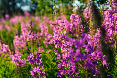 Similar image 2579485