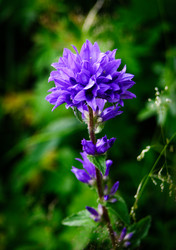 Similar image 2579486