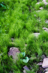 Similar image 2579487