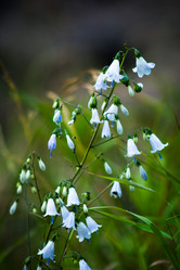 Similar image 2579488