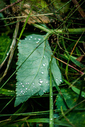 Similar image 2579489