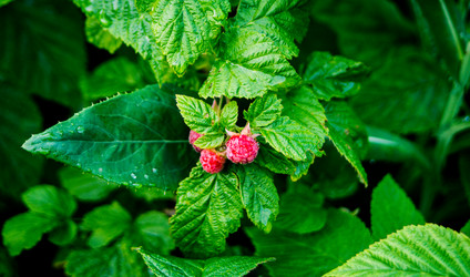 Similar image 2579490