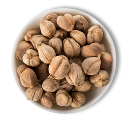 Similar image 2580272