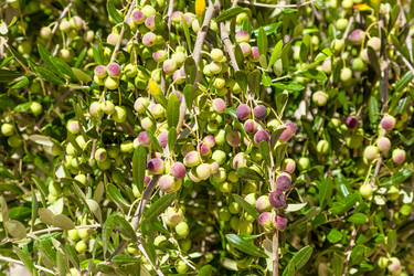 Similar image 2580422