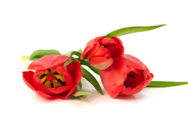 Similar image 2580552