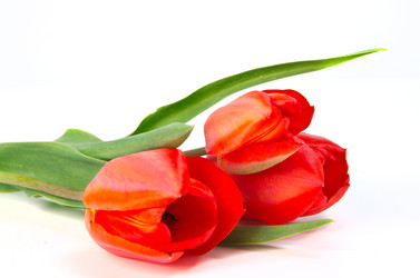 Similar image 2580553