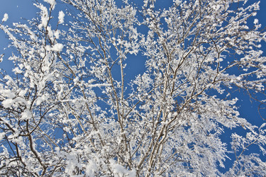 Similar image 2580578