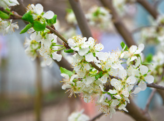 Similar image 2580731