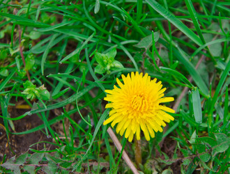 Similar image 2580735