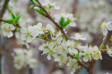 Similar image 2580736