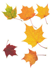 Similar image 2580890