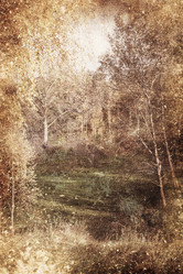 Similar image 2580947