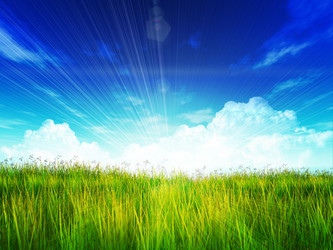 Similar image 2581342