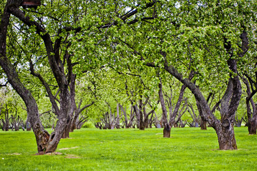 Similar image 2581673