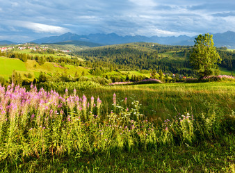 Similar image 2581784