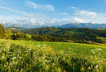 Similar image 2581788