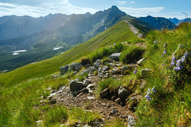 Similar image 2581792