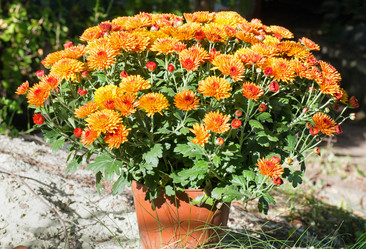 Similar image 2581817