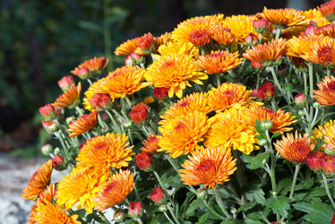 Similar image 2581819