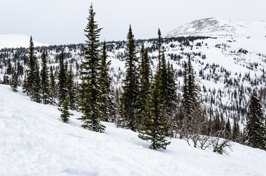 Similar image 2581829